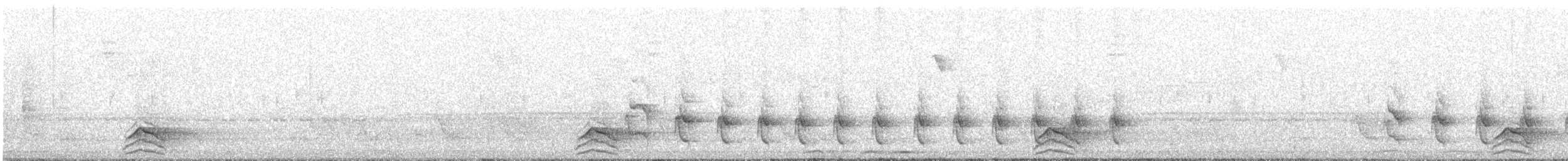 Bolivian Tapaculo - ML644481947
