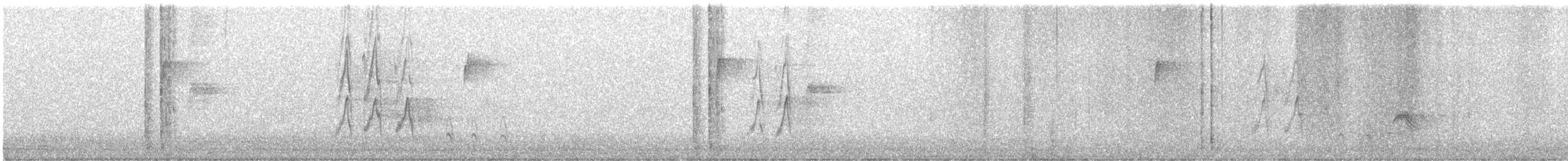 キビタイシメ - ML644481963