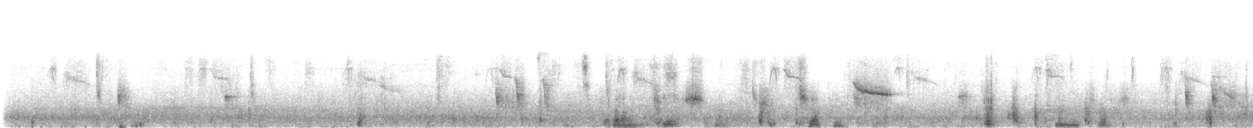 Hermit Thrush - ML644482842