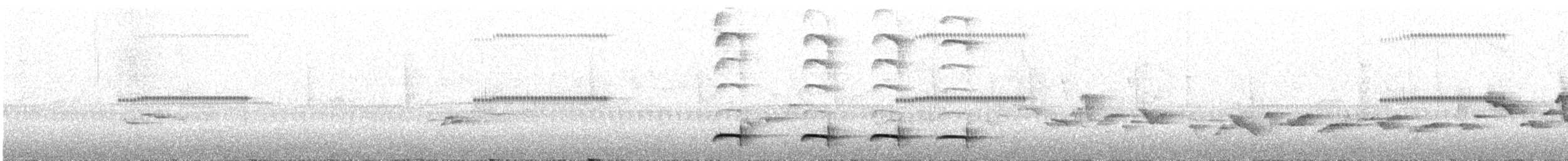 Red-and-white Antpitta - ML644482959