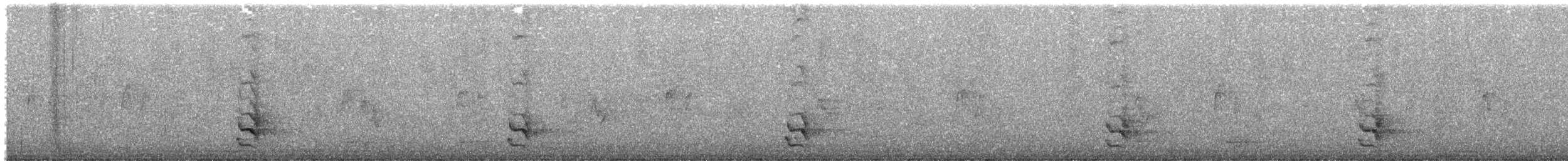 Long-billed Thrasher - ML644483324