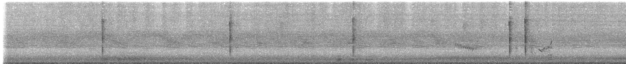 Long-billed Thrasher - ML644483467