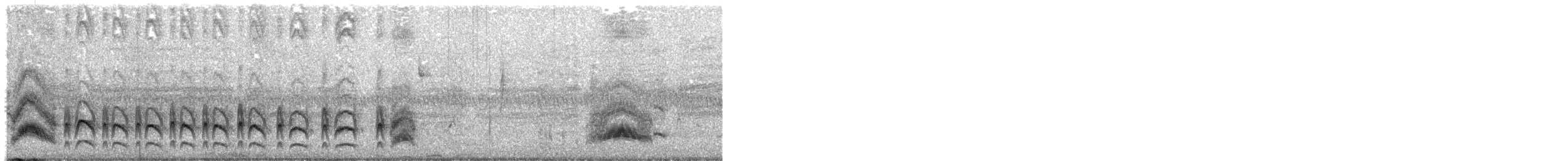 Cassin's Kingbird - ML644483601