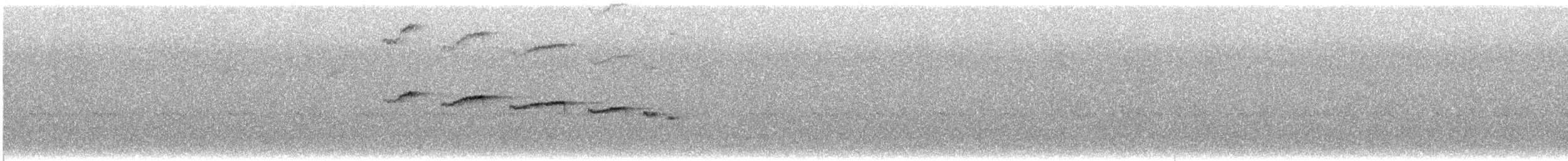 South American Leaftosser - ML644484081