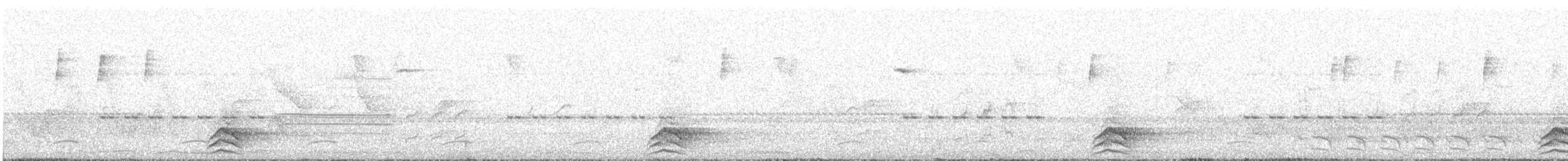 Hooded Tinamou - ML644484093