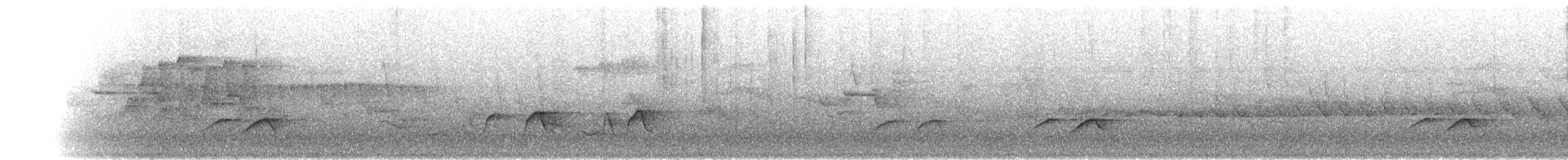 Red-tailed Vanga - ML644485153