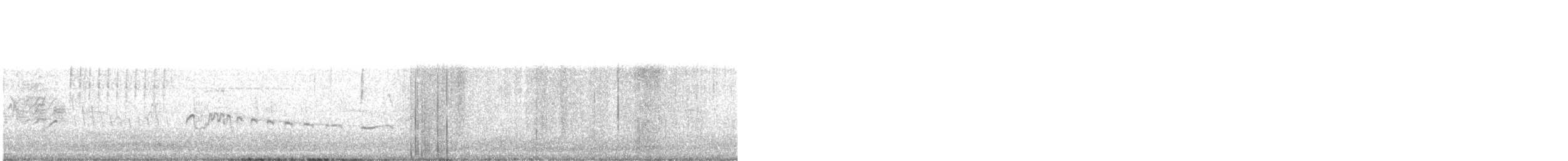 ברודית אמריקנית - ML644485342