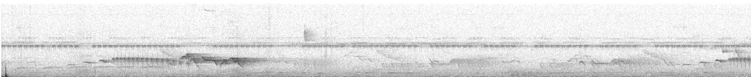 Inambari-Tambopata Antwren (undescribed form) - ML644485917