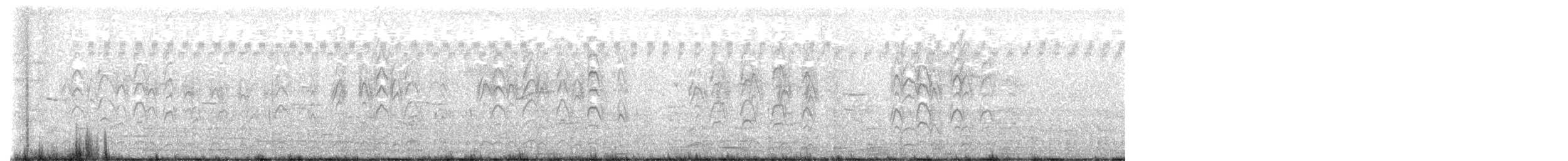 chřástal popelavý - ML644485939