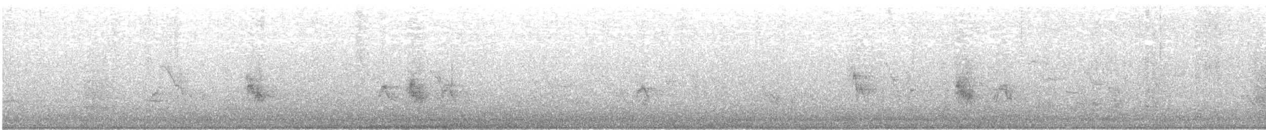 vrabec domácí - ML644486374