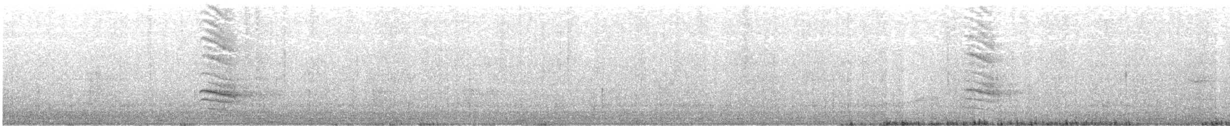 strnadec zimní - ML644486387