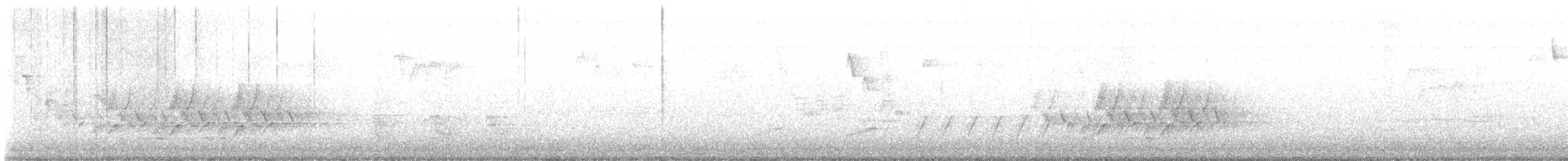 シマセゲラ - ML644486396