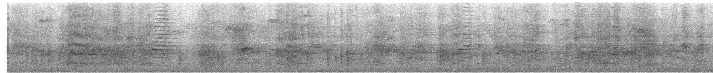 Purpurgrackel - ML644486401