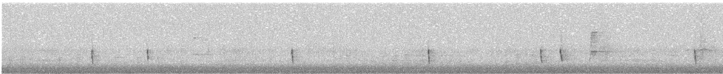 Hermit Thrush - ML644486572