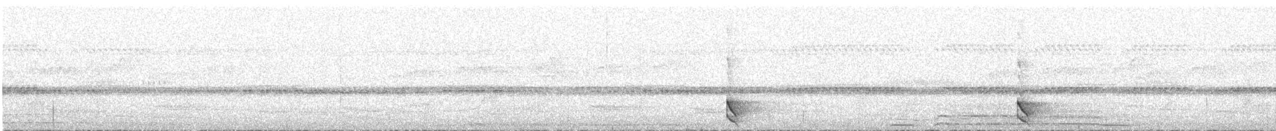 Barred Forest-Falcon - ML644486777