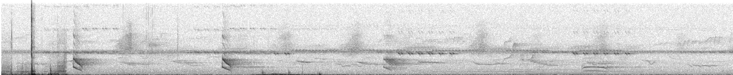 Collared Forest-Falcon - ML644486789