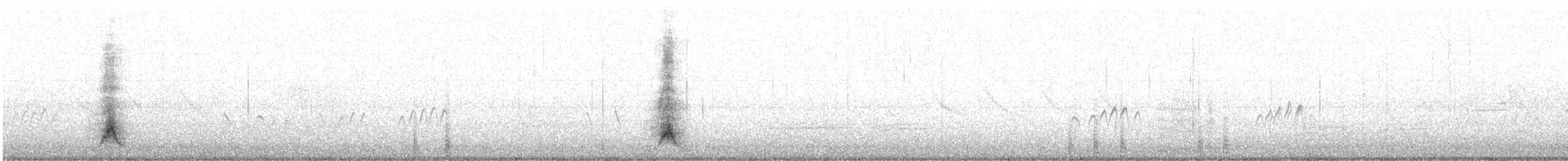 Crested Duck - ML644487052