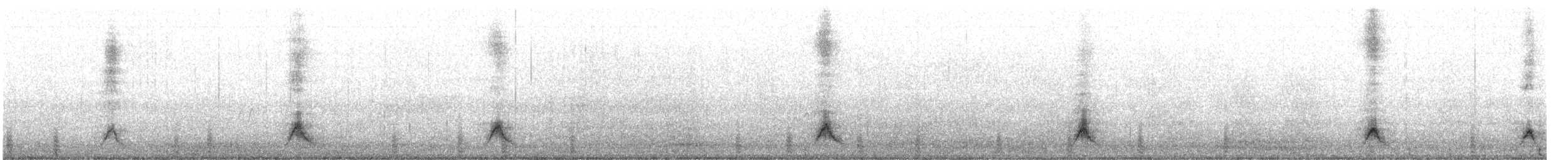 Crested Duck - ML644487090