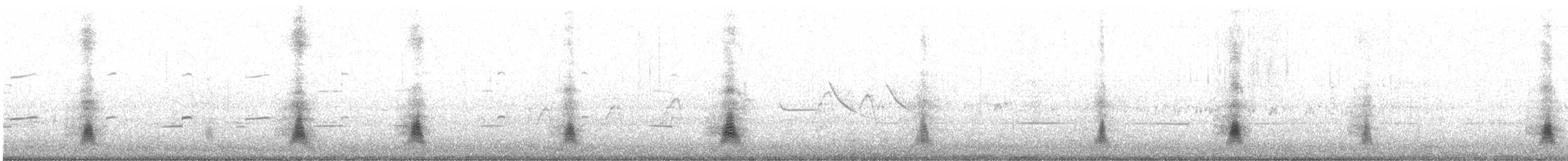 Crested Duck - ML644487206