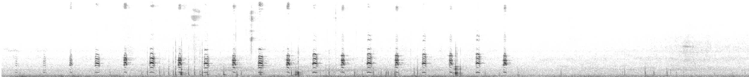 Magellanic Snipe - ML644487625