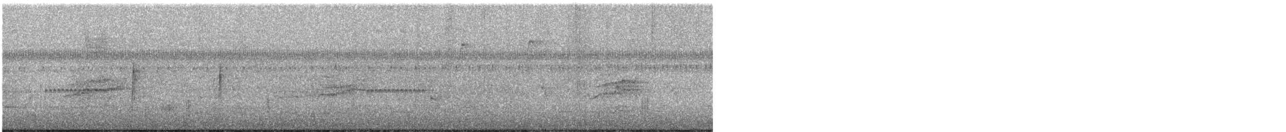 Hermit Thrush - ML644487776