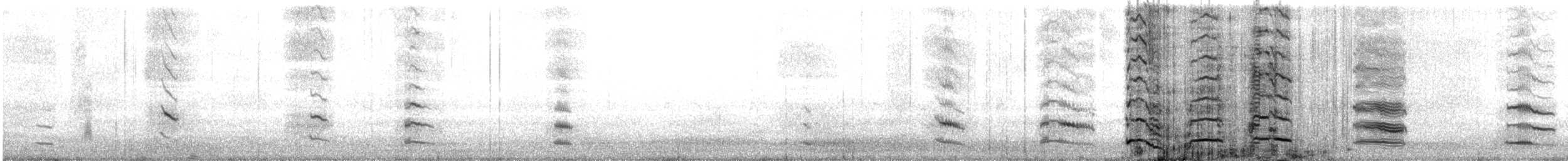 Foulque à jarretières - ML644488005