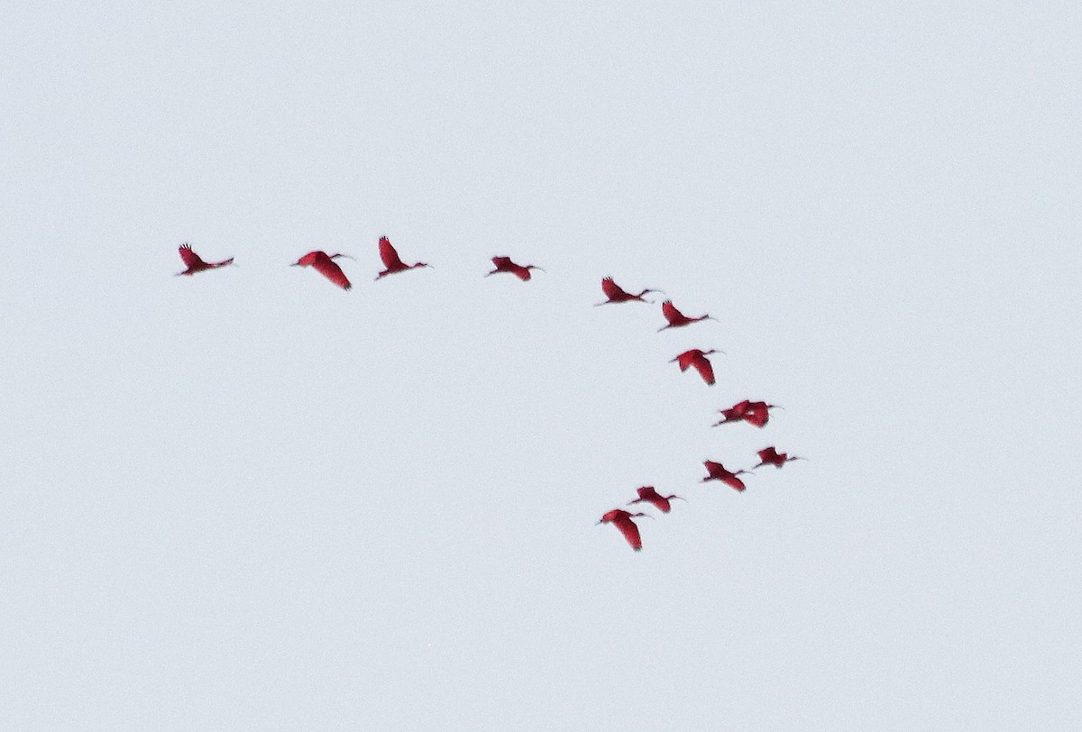 Al Aynak - ML644488395