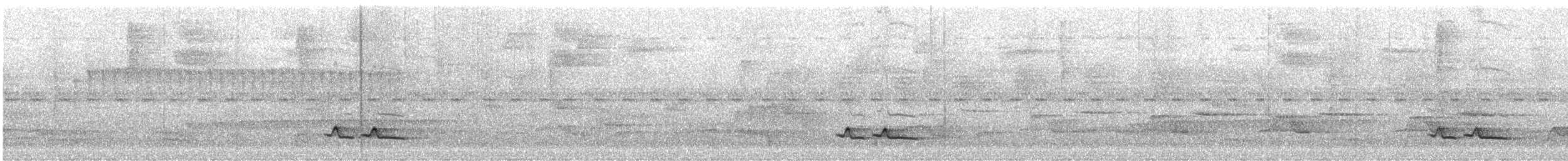 White-breasted Wood-Wren - ML644488576