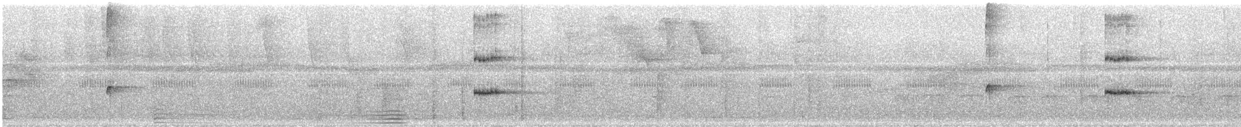 Scale-crested Pygmy-Tyrant - ML644488694