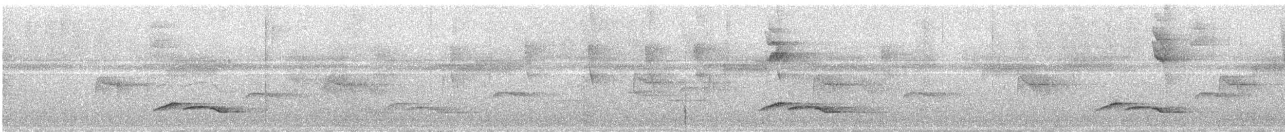 White-breasted Wood-Wren - ML644488791