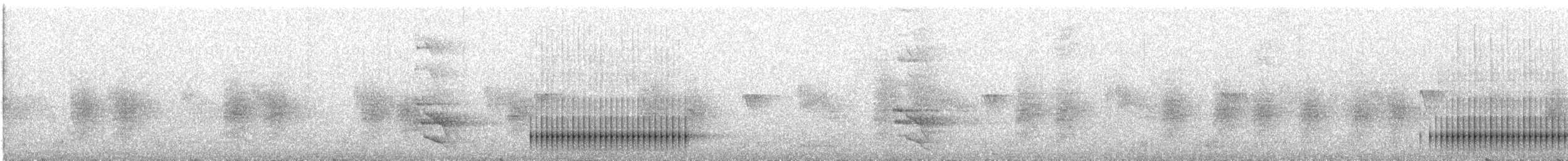 Ladder-backed Woodpecker - ML644488822