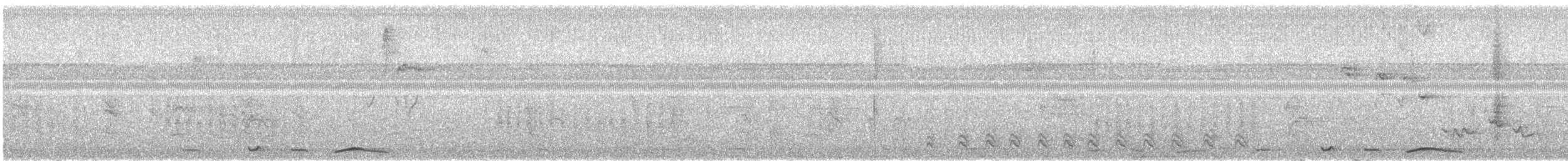 holub krátkozobý - ML644488966