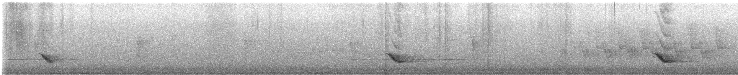 Weidenmusendrossel - ML644488986