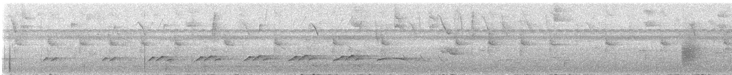 Bright-rumped Attila - ML644488988