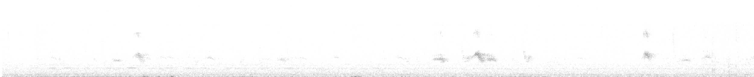 キビタイシメ - ML644489556