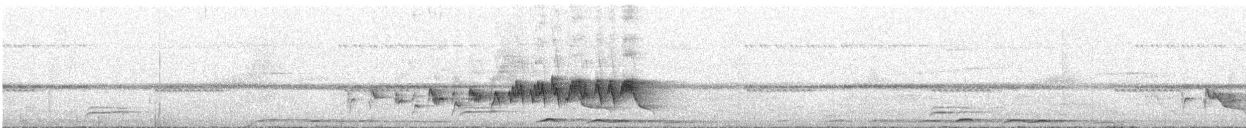 Two-banded Warbler - ML644489645