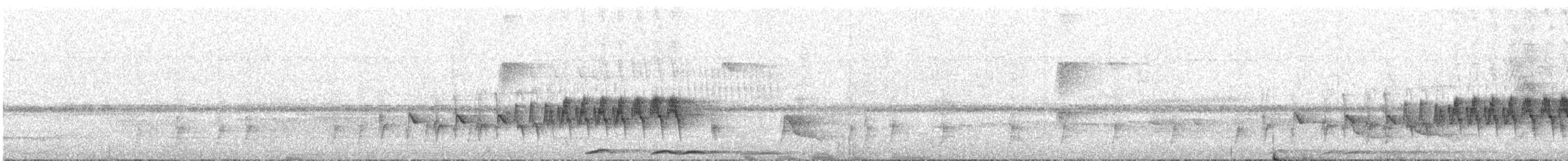 Two-banded Warbler - ML644489646