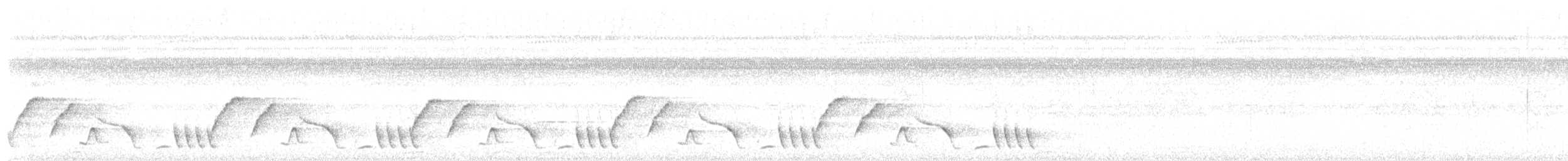 Moustached Wren - ML644490043