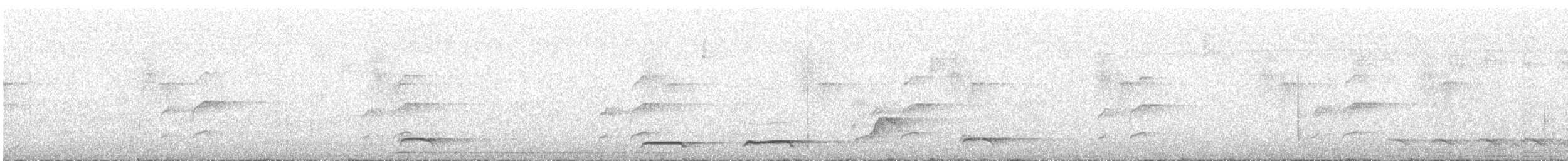 White-throated Antpitta - ML644490986