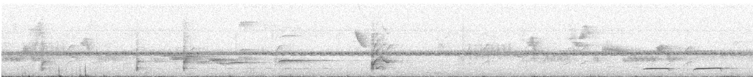 White-throated Antpitta - ML644490987