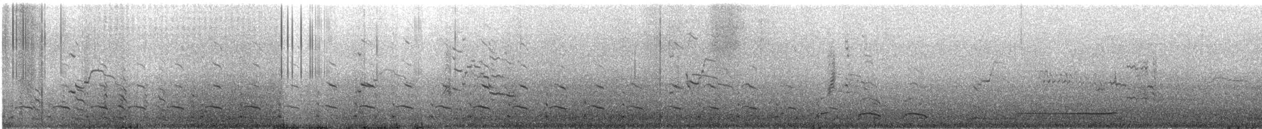 American Herring Gull - ML644491203