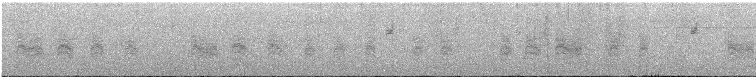 Northern House Wren - ML644491660