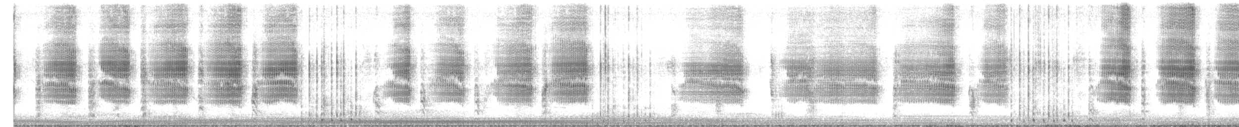 Zanate Marismeño - ML644491704