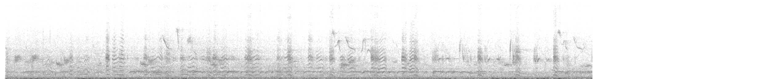 Hawaiian Coot - ML644492127