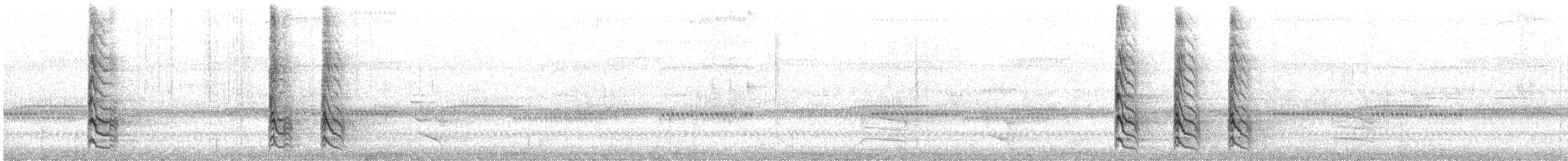 Carolinaspecht - ML644494397