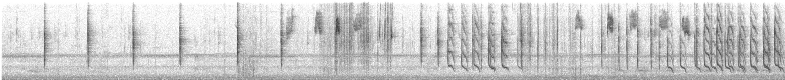 Junco ardoisé - ML644494633