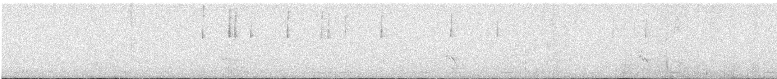 Northern Pygmy-Owl (Rocky Mts.) - ML644494646