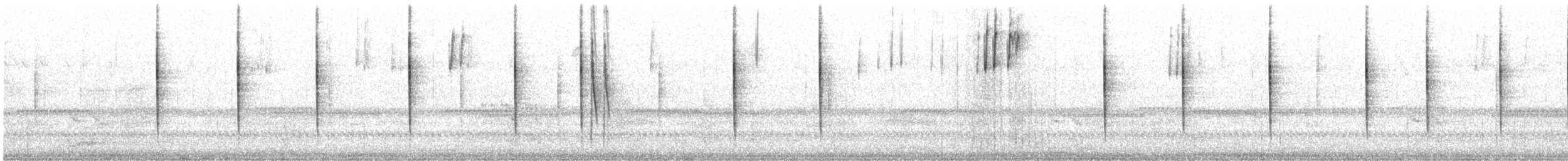 Junco ardoisé - ML644494686