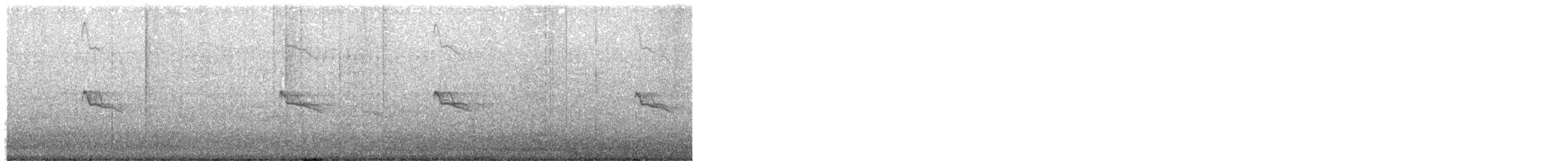 Black Phoebe - ML644494734