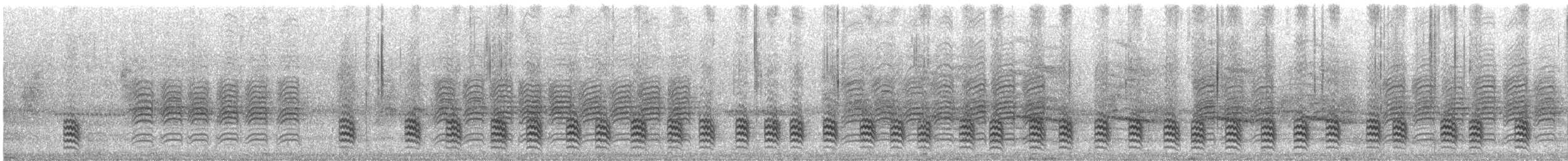 Sittelle à poitrine blanche - ML644494766